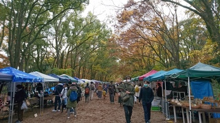 DSC_0605.JPG